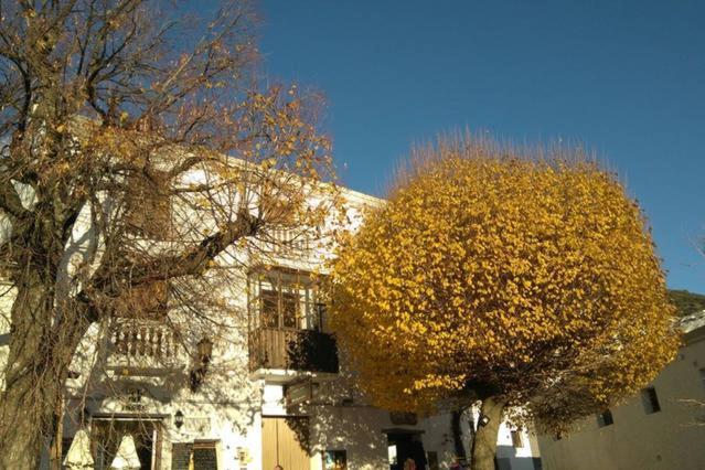 Alojamiento Rural Cuatro Estaciones กาปีเลย์รา ภายนอก รูปภาพ